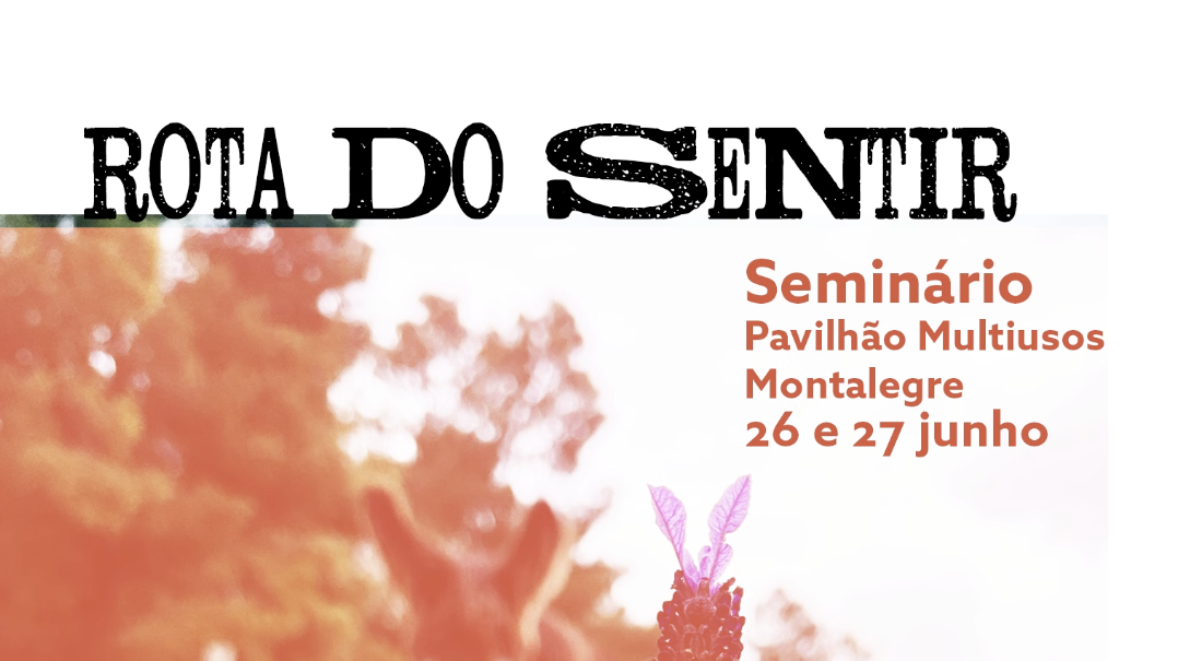 Seminário Rota do Sentir